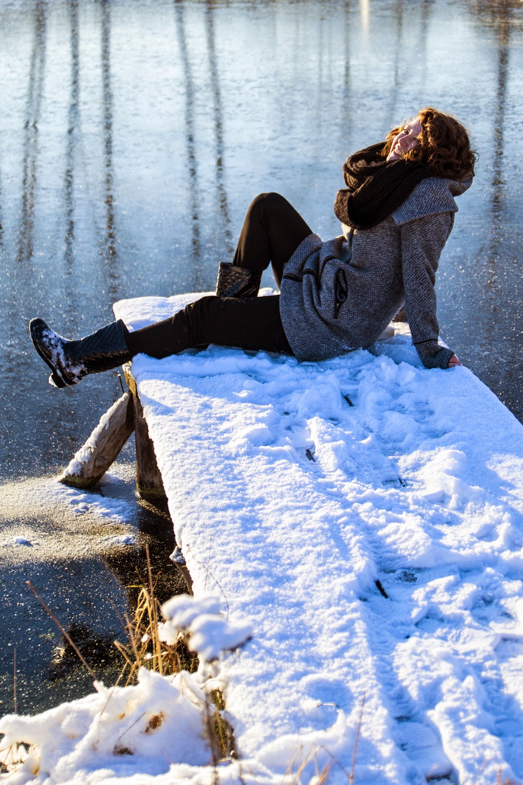 Gwiazdka w Puszczy - Ania w Podróży