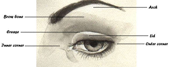 outer eye diagram the touch what s in my make up compact outer eye diagram the touch what s in my make up compact