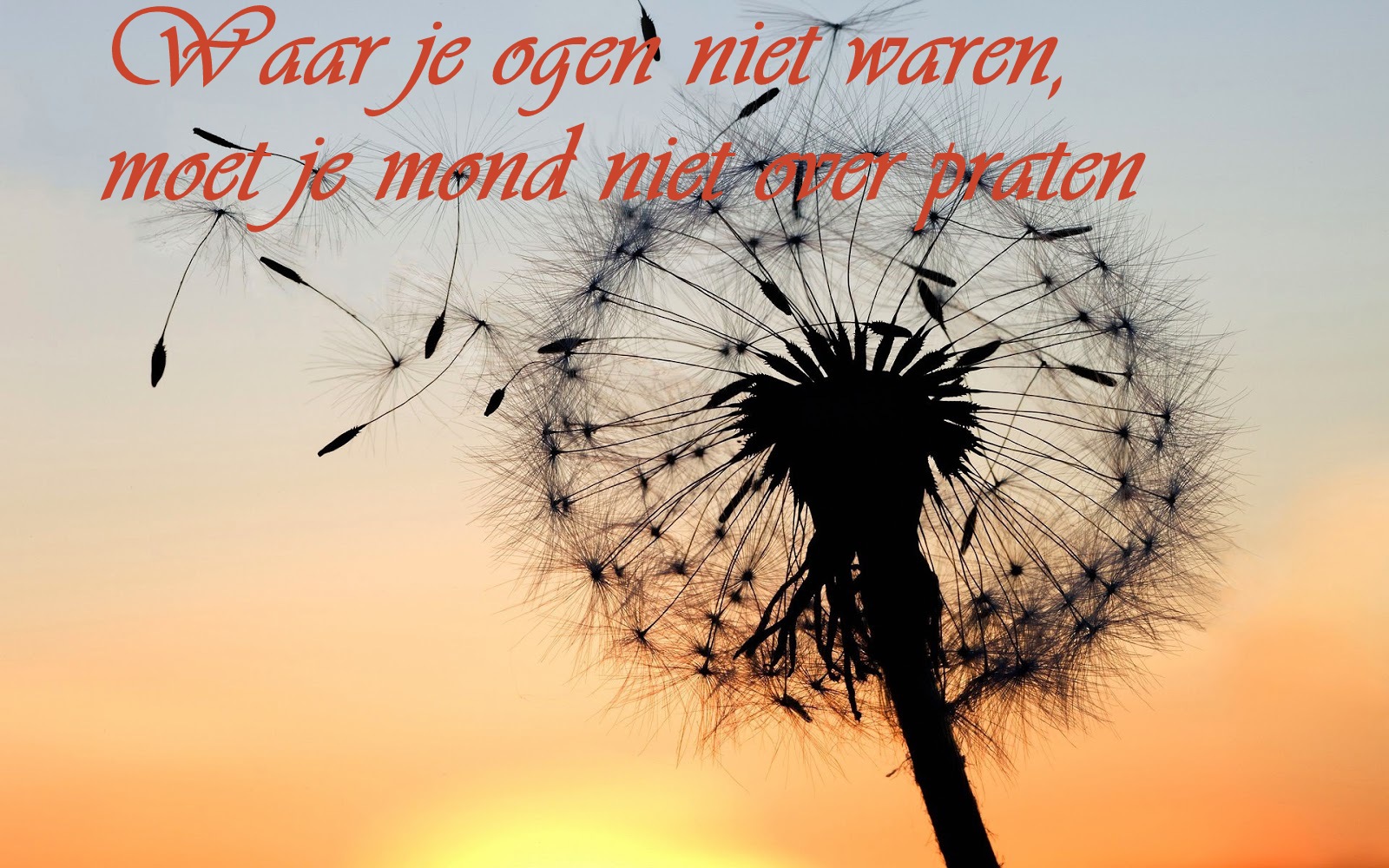 Citaten en Wijze Woorden uit de Islam: Waar je ogen niet waren, moet je