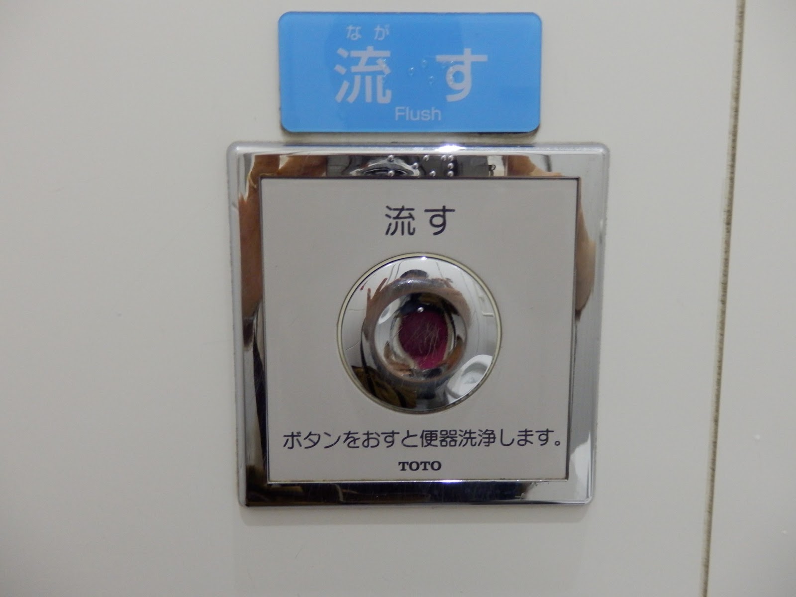 Something about Japan How to flush a toilet...NEVER press an