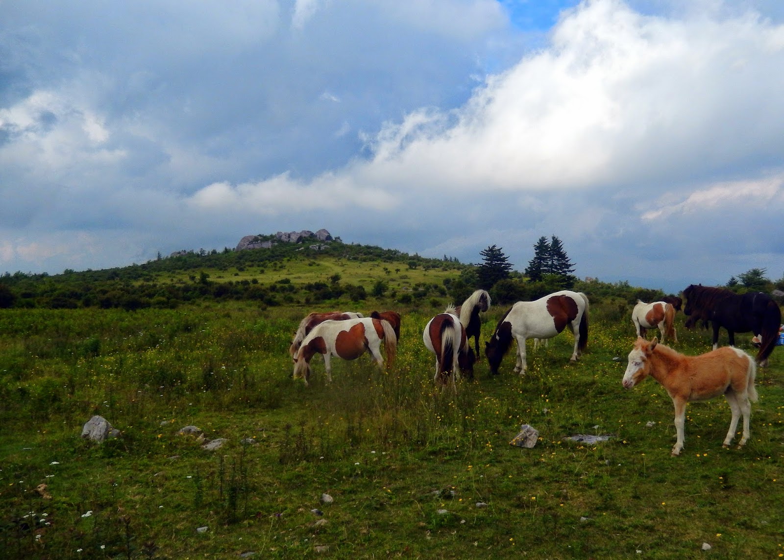 grayson highlands state park hiking