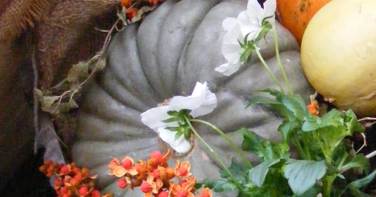 Beehind Thyme Farm & Garden Season's...