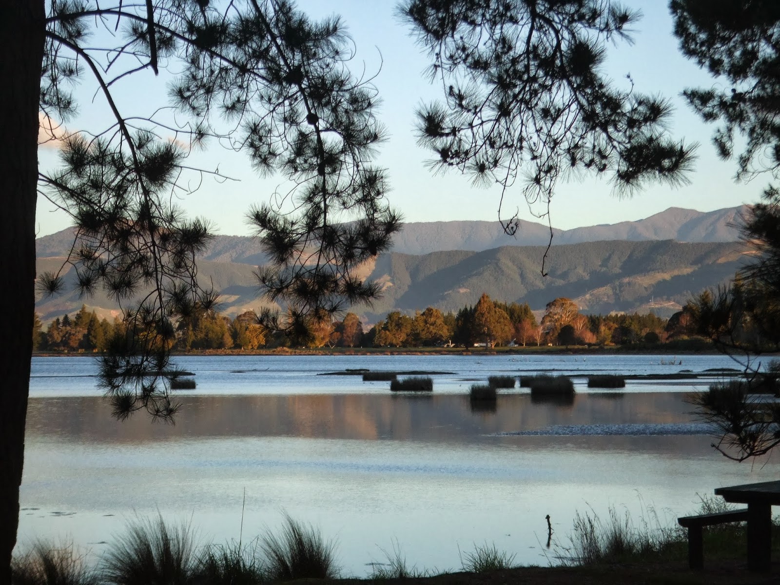 Dan the Occupational Therapist in New Zealand A return to Nelson