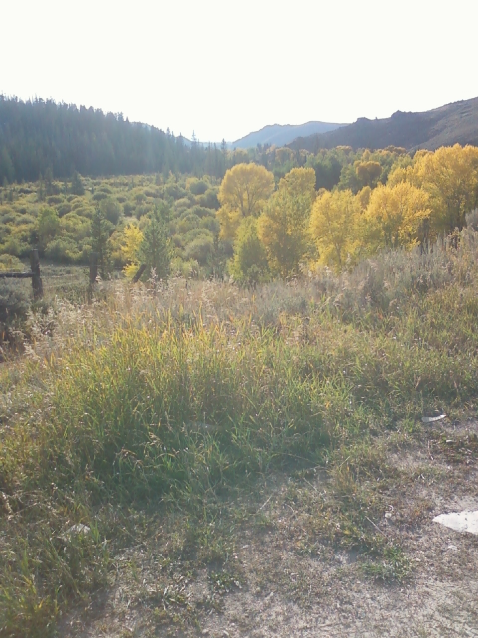 Barryjulieadventures ATV Trip Ryan Park, Wy