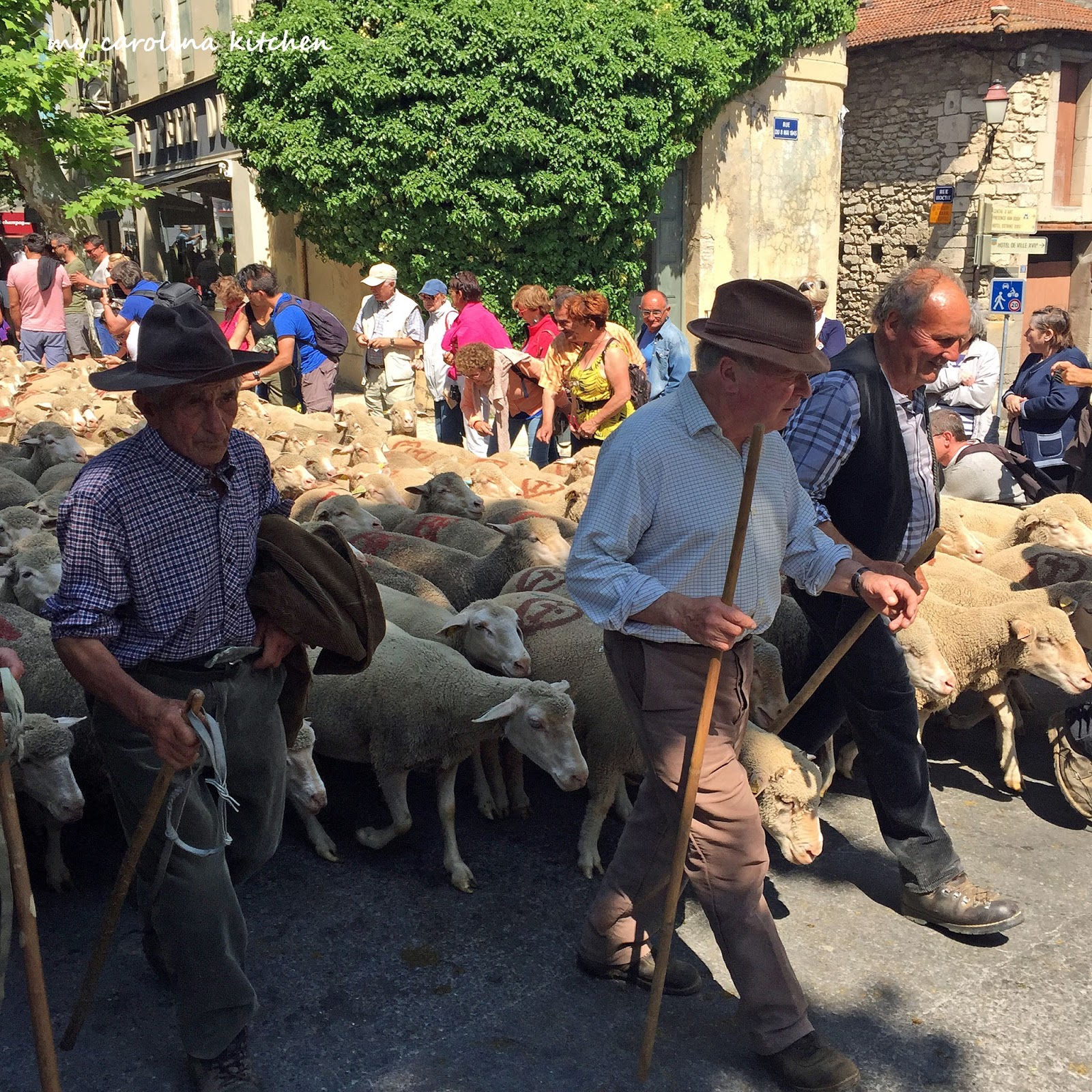 My Carolina Kitchen La Cantina Italian Pizzeria, SaintRémydeProvence