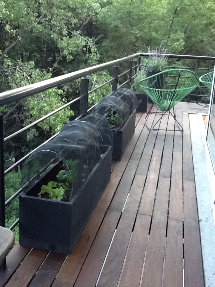 DISEÑO DEL PAISAJE: CONTENEDORES EXTERIOR