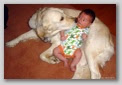 Funny Dog Pictures