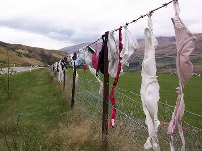 The Cardrona Bra Fence of New Zealand