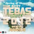 TEBAS (The BEst Annual Multimedia Show) 2012