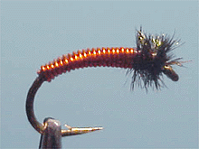 Brassie Indonesia Fly Fishing Indonesia Fly Tying