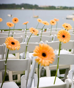 Modern flower chair decor.