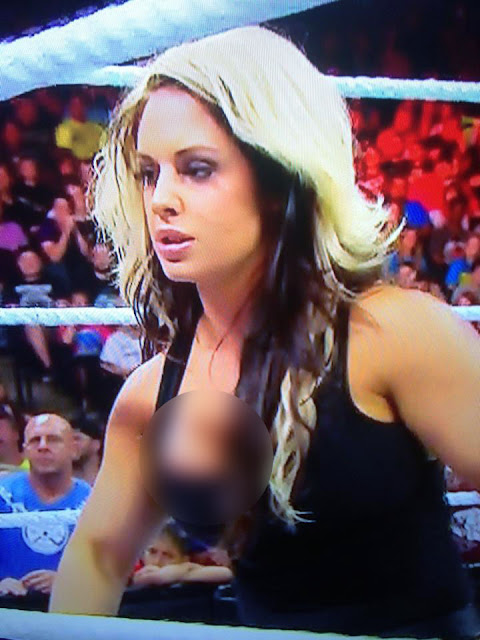 Grey Kaitlyn Wwe Wardrobe Malfunction Nip Slip Video Naked Celebities