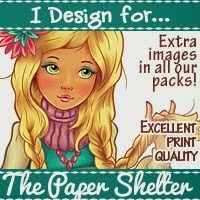 THE PAPER SHELTER - DT TEAM B