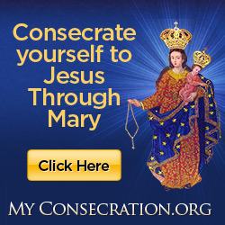 Order your free consecration materials to make the St. Louis de Montfort Consecration to Jesus through Mary