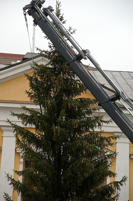 Lämmin katkarapusalaatti