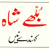 Kehndey Nain by Baba Bullhey Shah