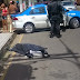 Homem é assassinado a tiros em plena manhã de Natal em Guarus.