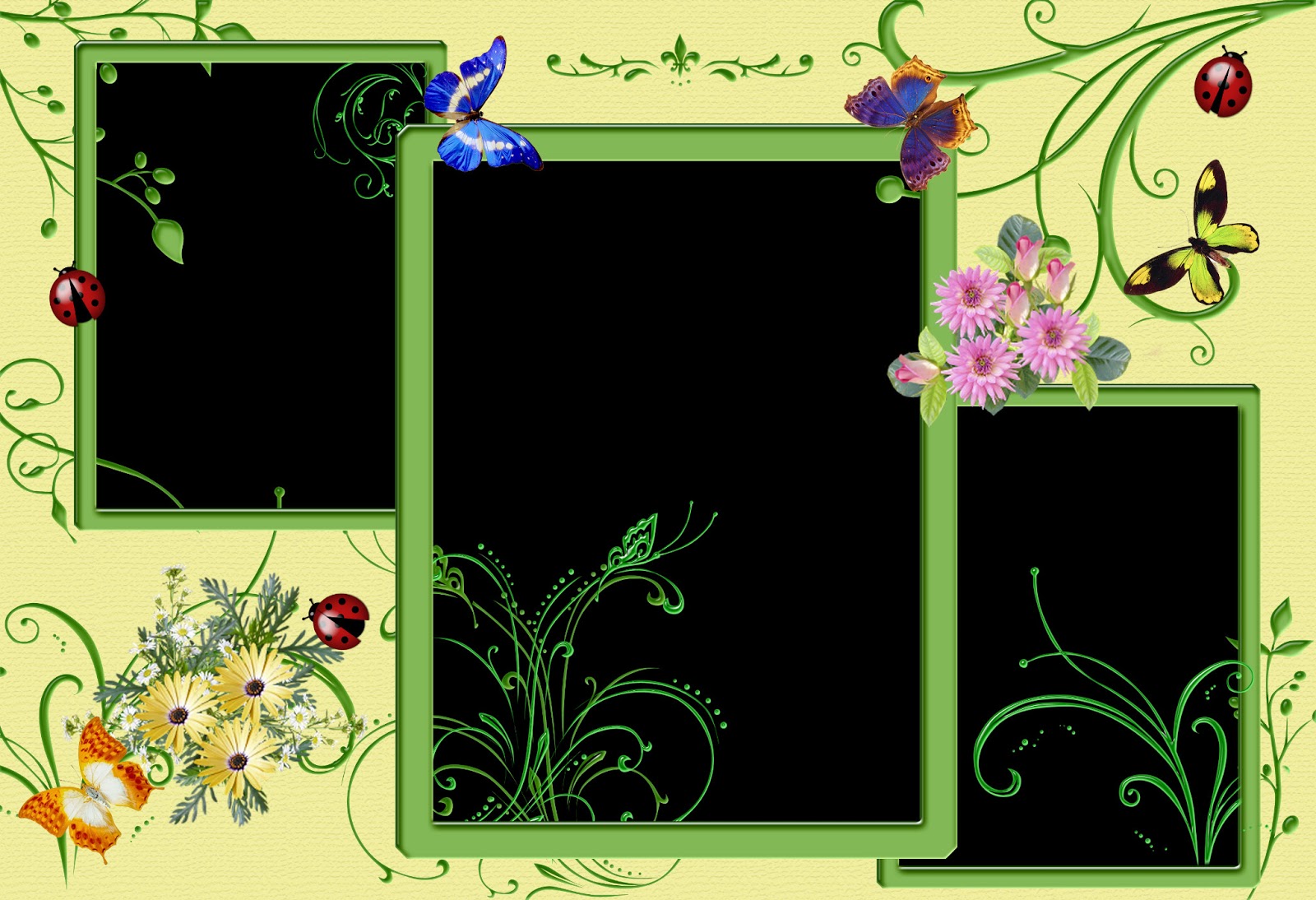 HD Photo Frames Images Top 10 Wallpapers