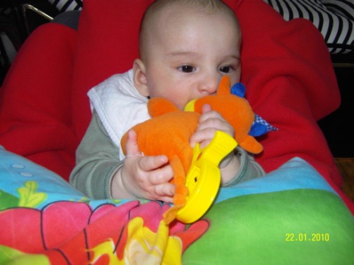 Evrim Arda Sevimli İnek eti yenir mi ? dur bakayım )