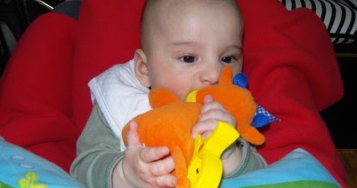 Evrim Arda Sevimli İnek eti yenir mi ? dur bakayım )