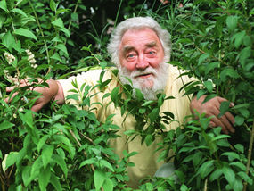 David-Bellamy.jpeg
