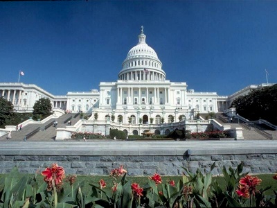 hill fool ii dopes eternal washington dc spring where