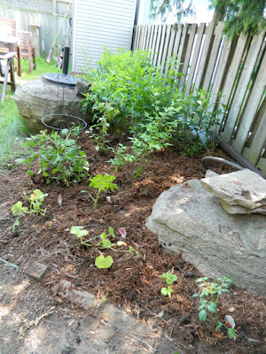 Riverdale Toronto back yard garden cleanup after by Paul Jung Gardening Services
