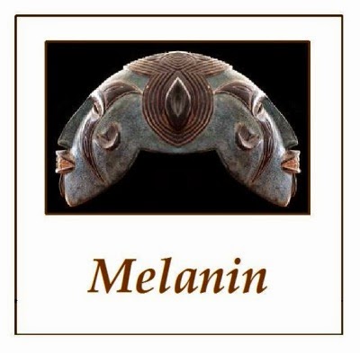 Welcome To Dhwtys Learning Center The Melanin Theory