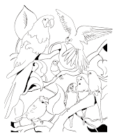 desene colorat pasari