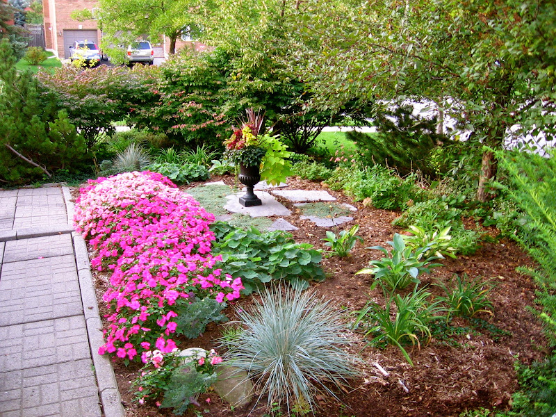 Astrid's Garden Design: Problems affecting Impatiens
