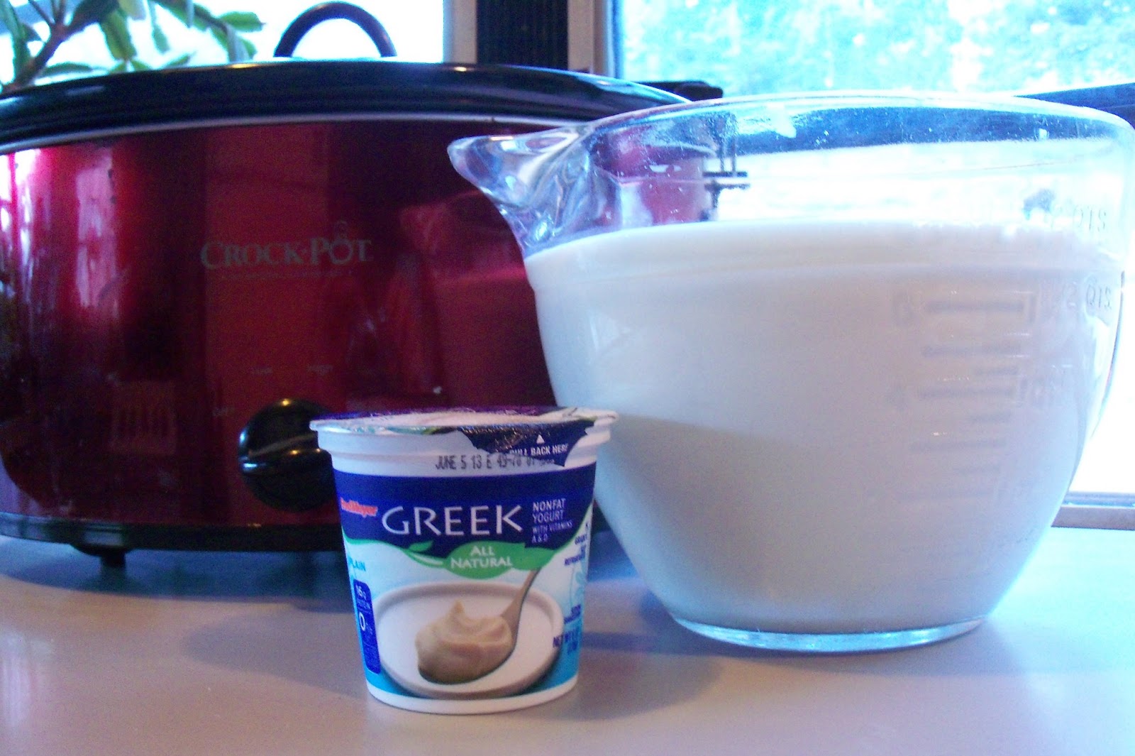 Wild Thyme Creations SlowCooker Yogurt