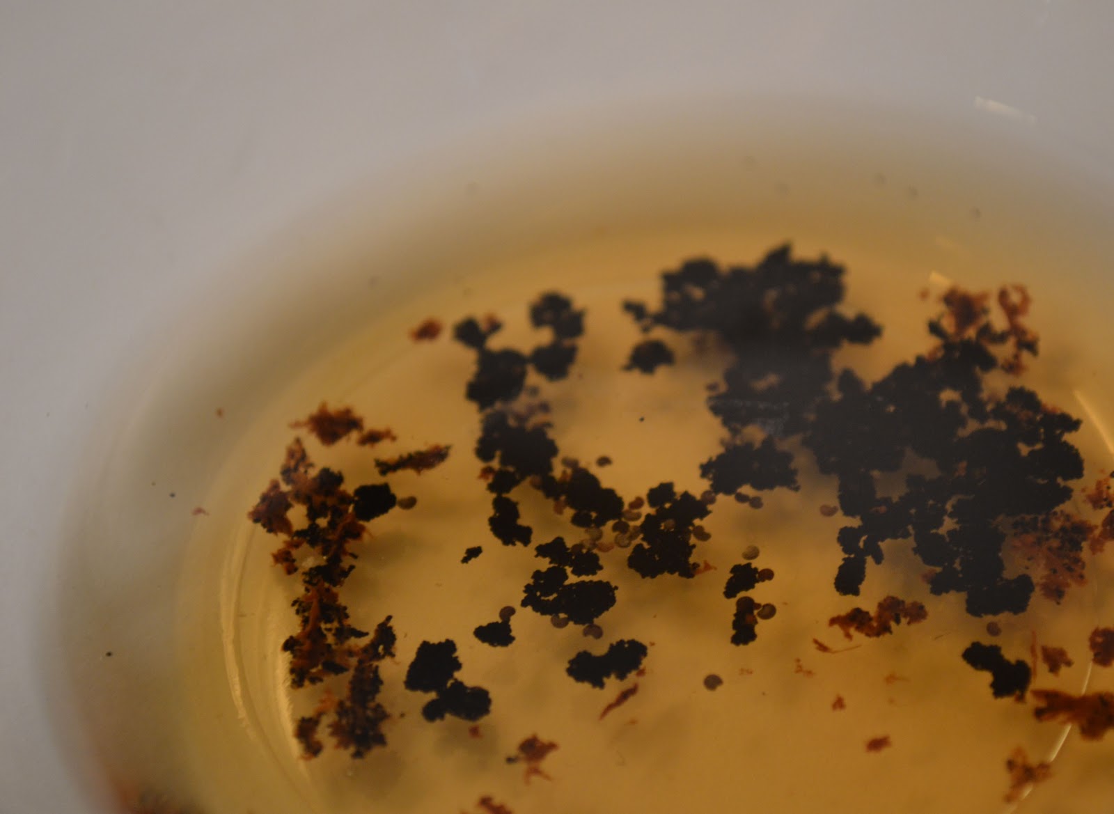 little c cooks Whiskey Bread Pudding