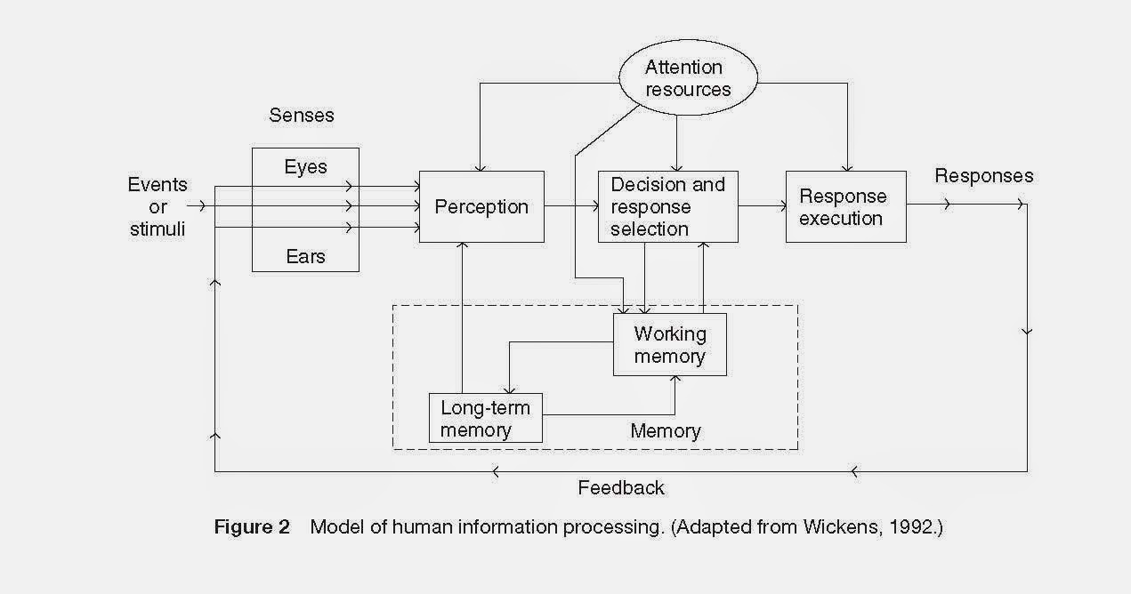 information processing model