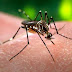 Vigilância Ambiental intensifica parcerias na luta contra a dengue