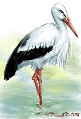 White stork by Artmagenta