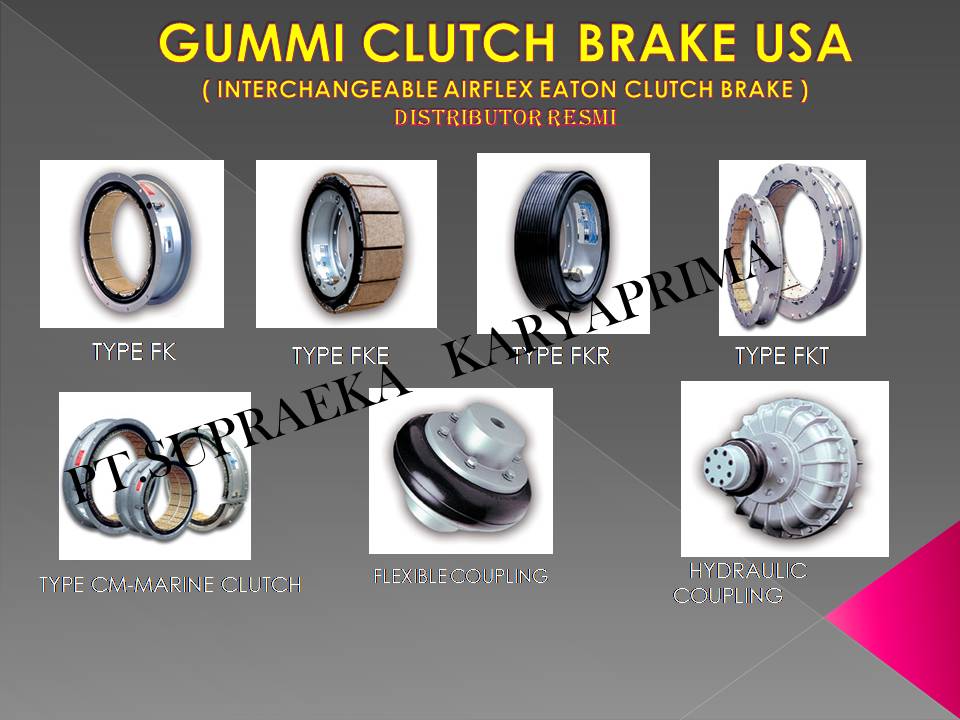 Gummi FKT Clutch & Brake - Industrial Clutch Parts
