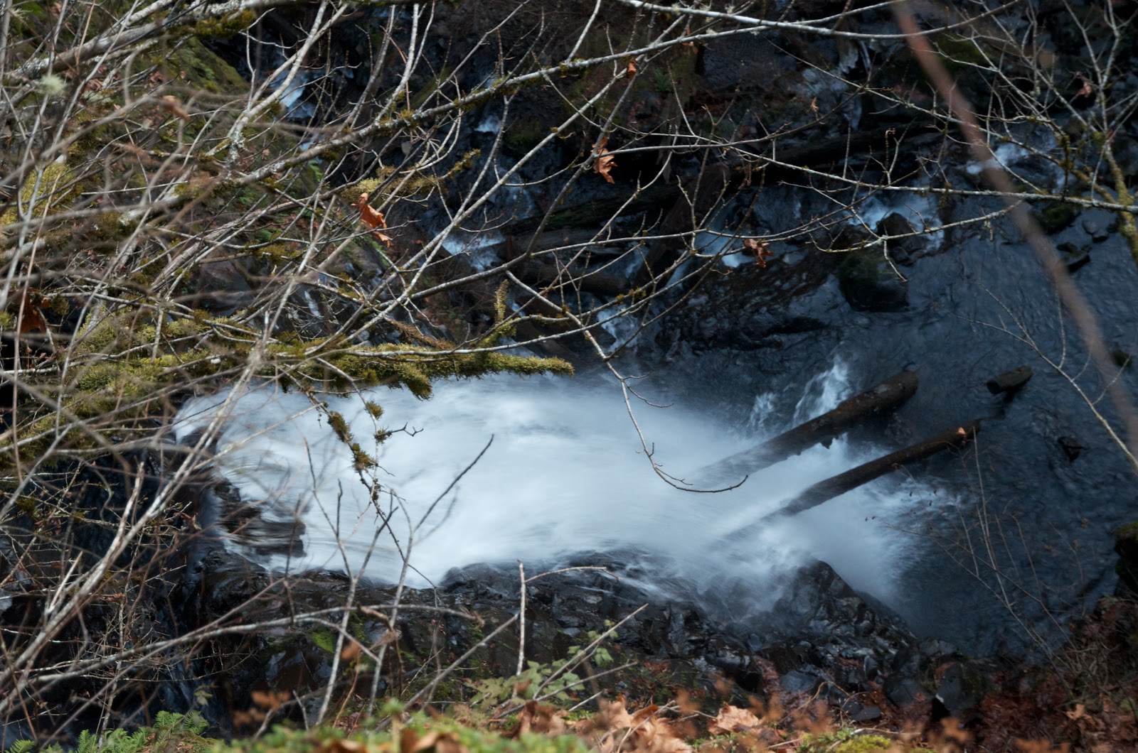 The Life and Travels of The Ellingers Shellburg & Stassel Falls