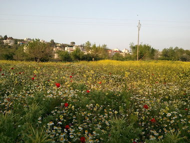 طبيعة جفنا الخلابه 2011/04/13