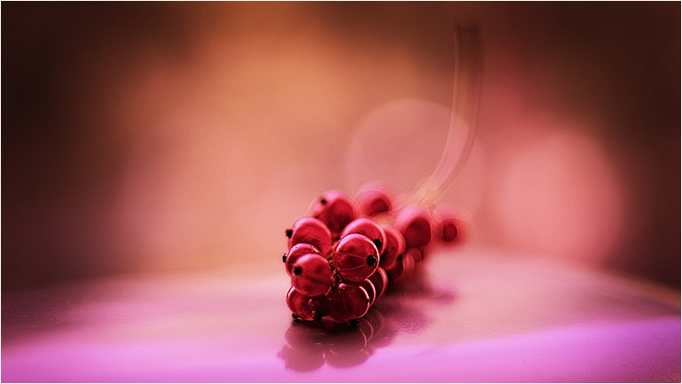 emerging photographers, Best Photo of the Day in Emphoka by xr Photo, https://flic.kr/p/o7VL9e emerging photographers, Best Photo of the Day in Emphoka by xr Photo, https://flic.kr/p/o7VL9e