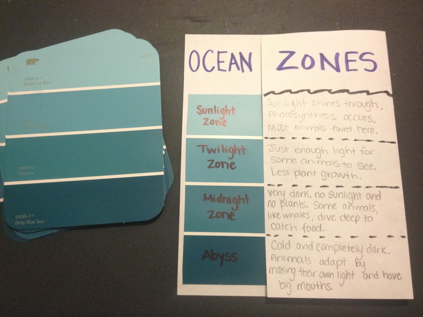 worksheet Ocean Zones Worksheet learning by doing oceans oceans