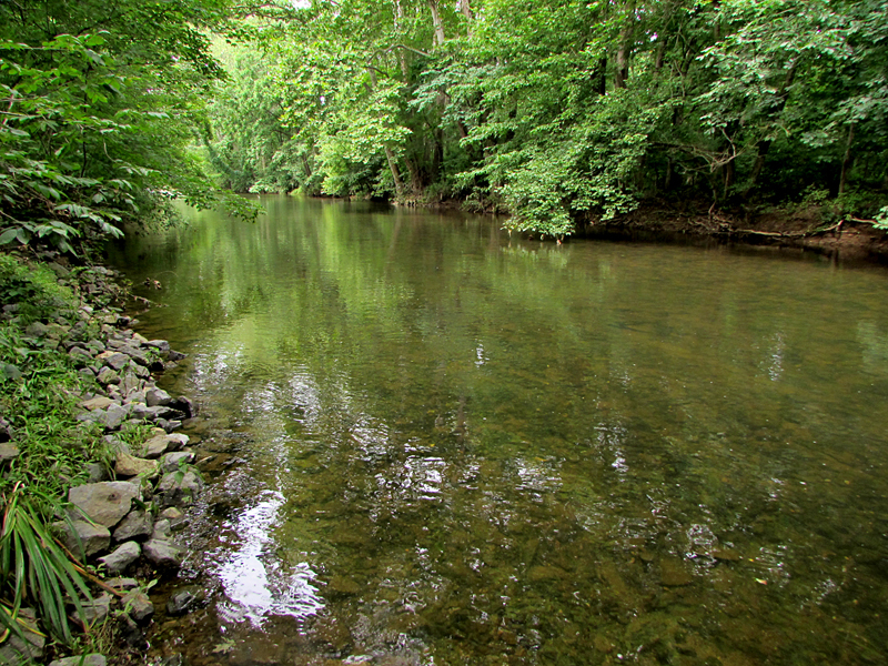 Roy's World A Visit To Creek