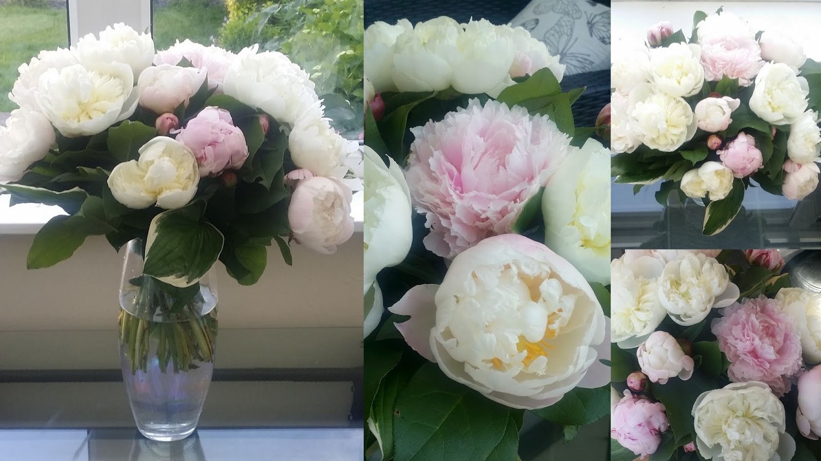 Beauty and the Blogger Win a beautiful peony bouquet from Serenata