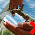 Health Considerations on Holiday thumbnail