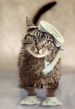 I Love You Snorkel Cat