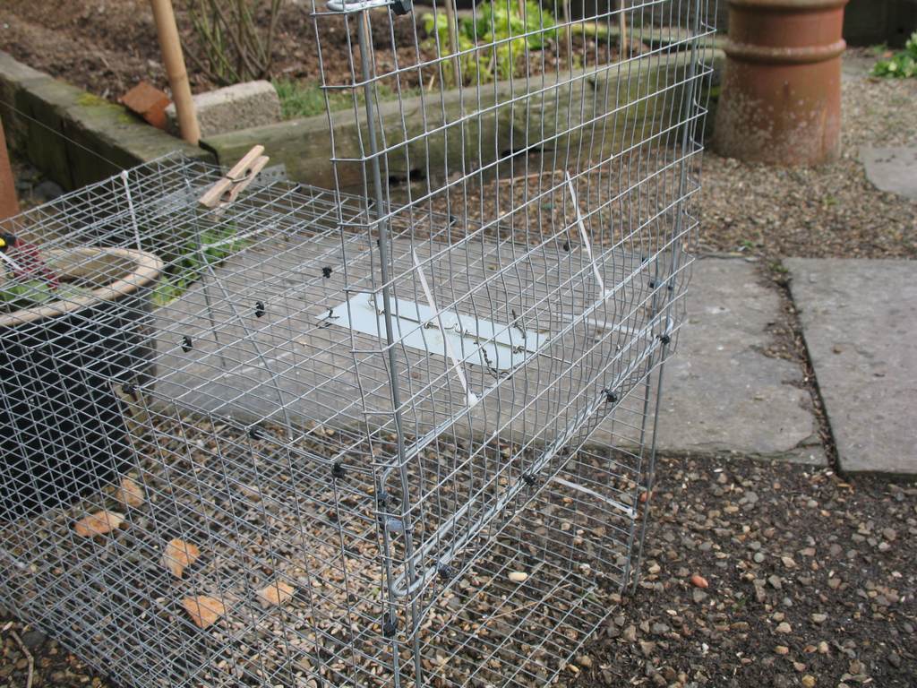 Teifi Ringing Group Potter trap mechanisation, wandering birds and S4C