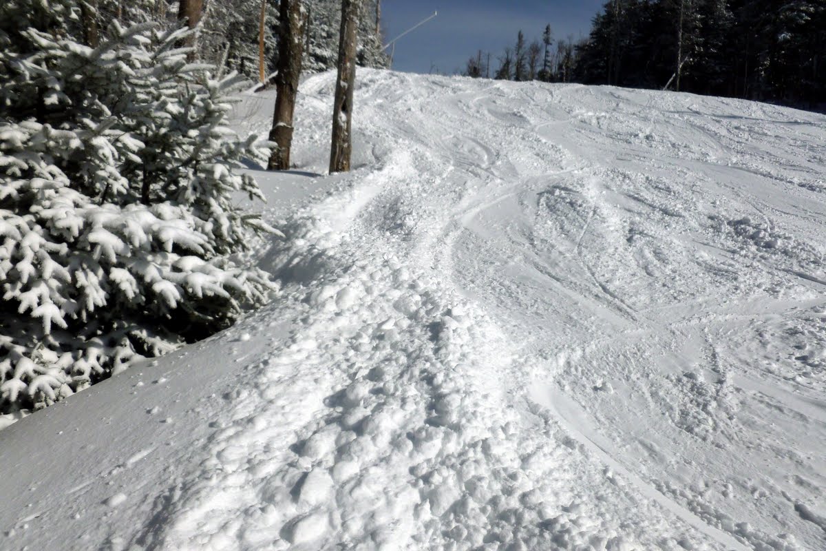 The Saratoga Skier And Hiker Gore Mountain 02 09 02 10 13