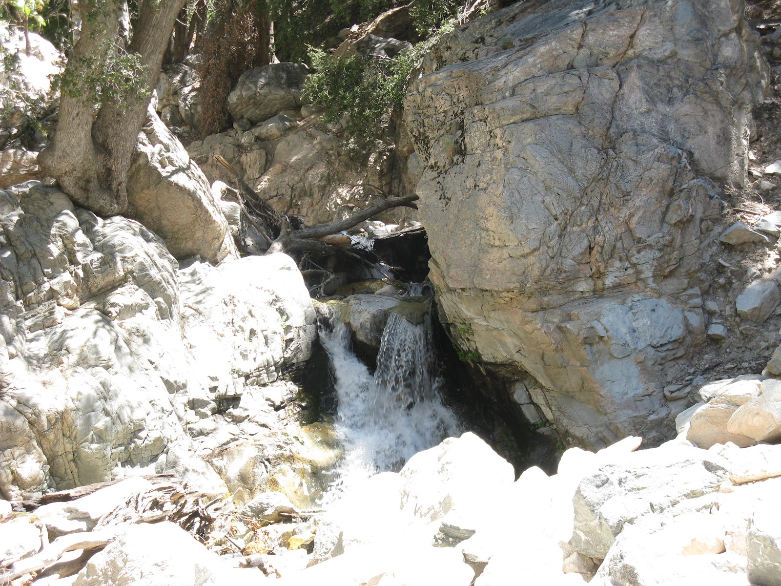 linsueray Hiking in Forest Falls....