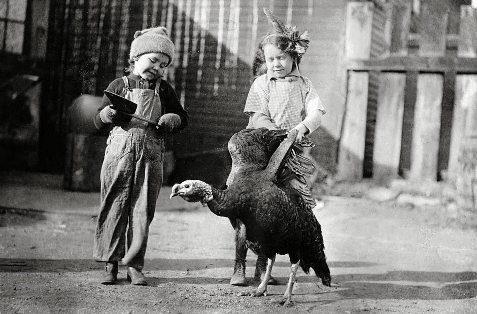 Thanksgiving gourmet cupcakes Thanksgiving gourmet cupcakes