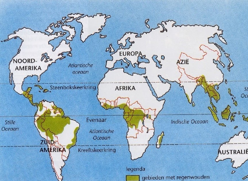 tropisch regenwoud: waar zijn ze