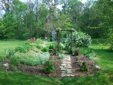 Back Garden featuring Snowball Bush